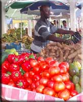 Vegetables in the Open Air Market